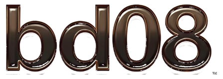 bd08 logo